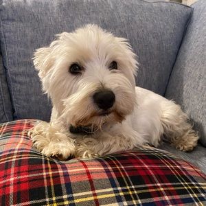 Meet your Posher, Eliza